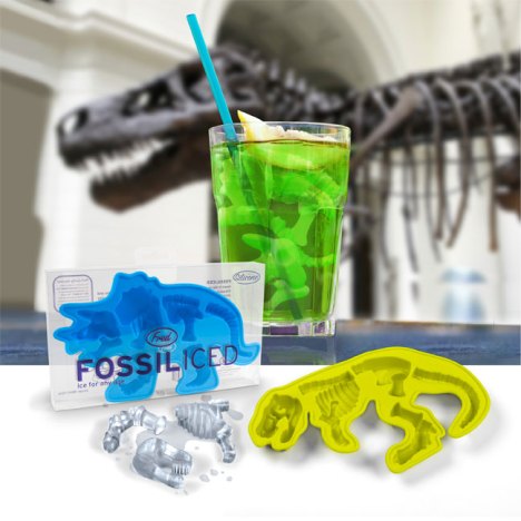 Fossil Iced